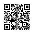 QR Code (код быстрого отклика)