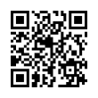 QR Code (код быстрого отклика)