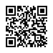 QR Code (код быстрого отклика)