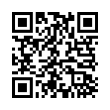 QR Code (код быстрого отклика)