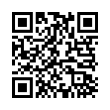 QR Code (код быстрого отклика)